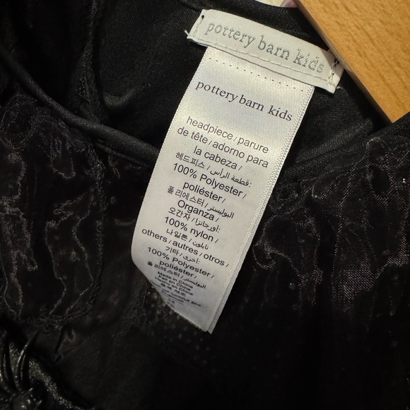 Pottery Barn Kids Glow in the Dark Spider Witch Costume - Picture 3 of 7